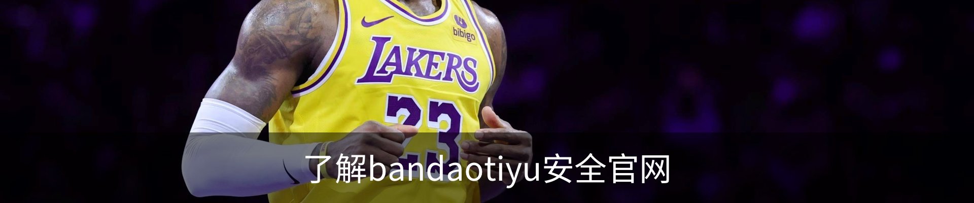 内页banner