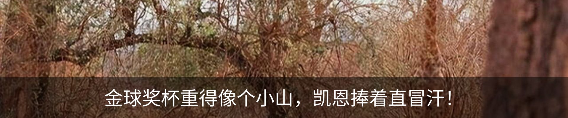 内页banner